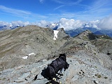 Dalla vetta verso la Svizzera.............